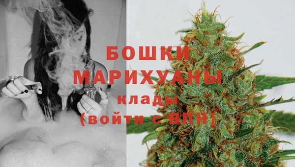 PSILOCYBIN Алексин