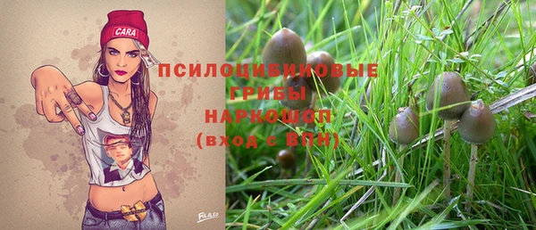 а пвп мука Алзамай