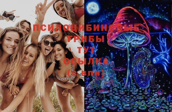 PSILOCYBIN Алексин