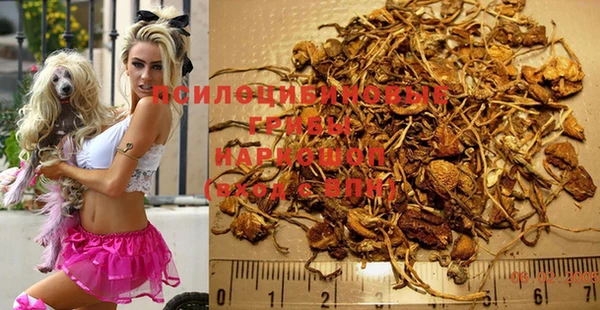 jwh Покачи