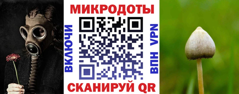 Псилоцибиновые грибы Psilocybine cubensis  Курлово 